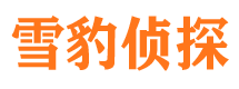 黄龙市私家侦探